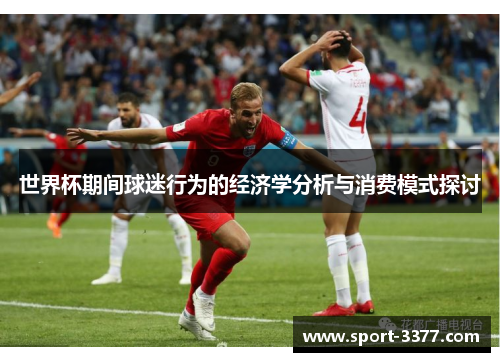 世界杯期间球迷行为的经济学分析与消费模式探讨