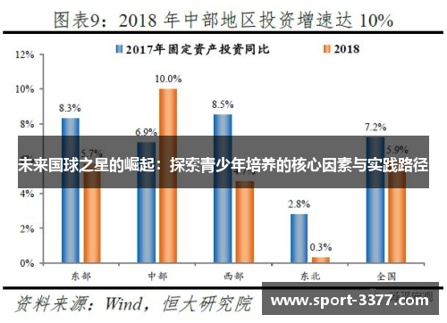 未来国球之星的崛起：探索青少年培养的核心因素与实践路径