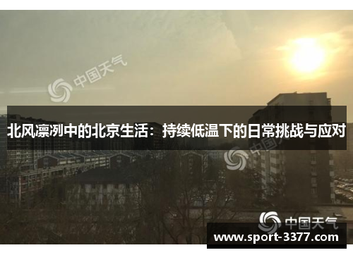 北风凛冽中的北京生活：持续低温下的日常挑战与应对